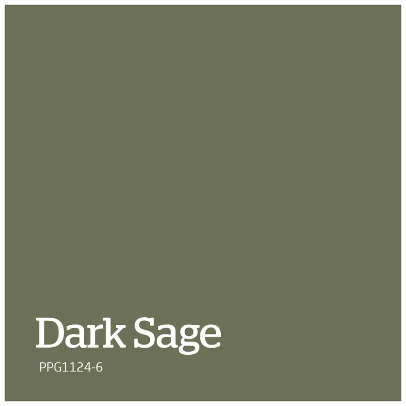 PPG1124-6 – Dark Sage Gereduceerde Prijs