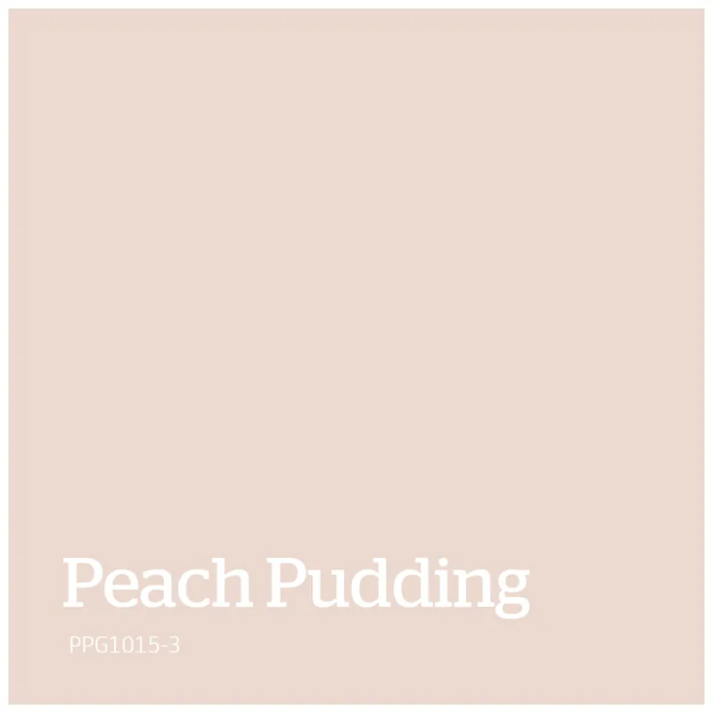 Laatste Versie PPG1015-3 – Peach Pudding